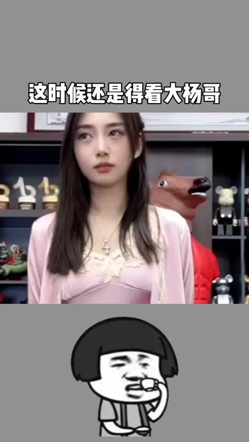 杨哥食材爆料视频,揭秘厨房里的秘密食材 第3张 杨哥食材爆料视频,揭秘厨房里的秘密食材 第3张