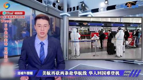 华人爆料登机视频,揭秘航班上的真实一幕