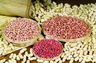 河南花生爆料新闻 第1张 河南花生爆料新闻 第1张