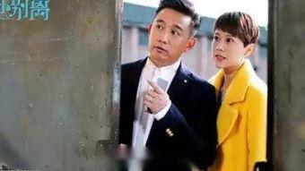 天涯爆料海清黄磊视频在线观看